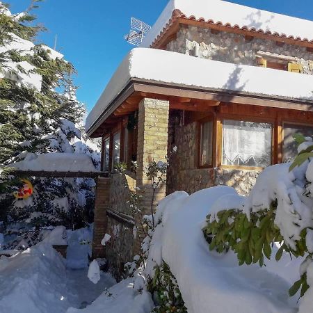 Livadi Chalet Arachova The Perfect Family Vacation المظهر الخارجي الصورة