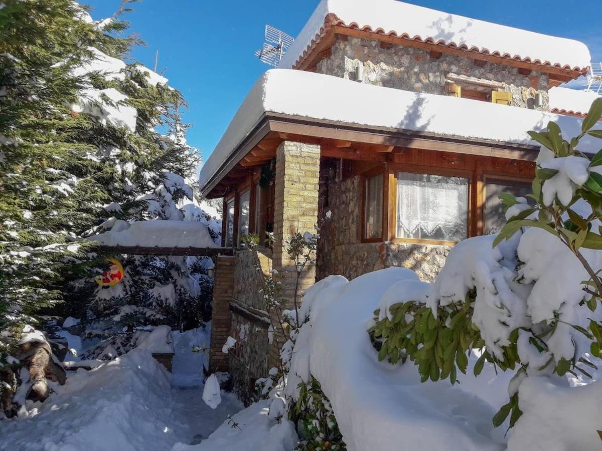Livadi Chalet Arachova The Perfect Family Vacation المظهر الخارجي الصورة